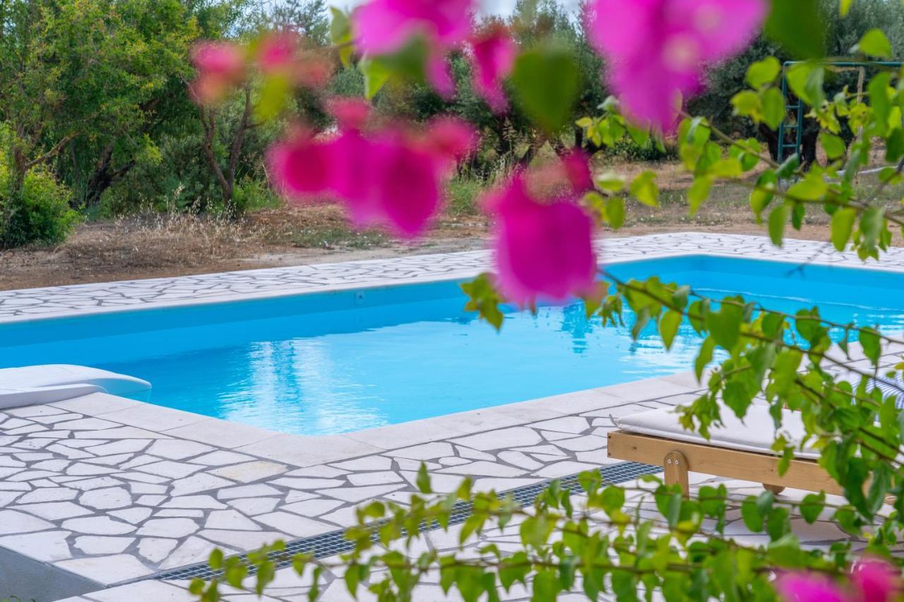 Villa Ostria Lixouri Extérieur photo