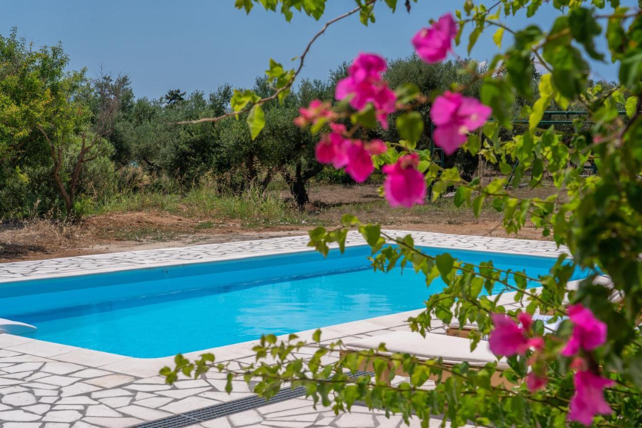 Villa Ostria Lixouri Extérieur photo